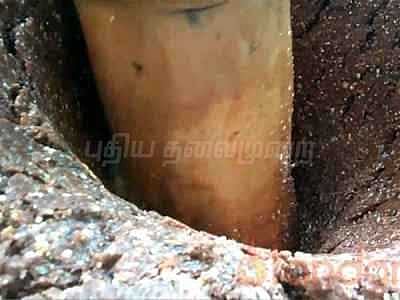 தரமான மரச்செக்கு எண்ணெய் எங்கு கிடைக்கும்? (Sponsored Ads)