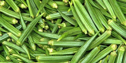 வெண்‌டைக்காய் விலை உயர்வால் விவசாயிகள் மகிழ்ச்சி
