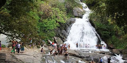  குரங்கு அருவியில் இனி யானை ச‌வாரி செய்யலாம் 