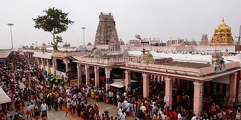 பழனி உண்டியலில் 765 கிராம் தங்கம்!