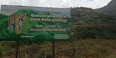 ஆனைமலை புலிகள் காப்பகத்தில் வனவி‌லங்குகளை கணக்கெடுக்கும் பணி தொடக்கம்