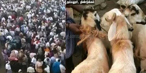 பொங்கலையொட்டி ரூ.1 கோடி‌ அளவில் சந்தையில் ஆடு விற்பனை