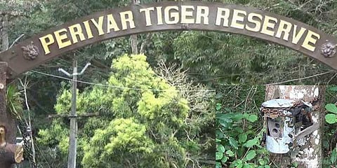 புலிகளைக் கணக்கெடுக்க தேக்கடியில் 200 கேமராக்கள் 