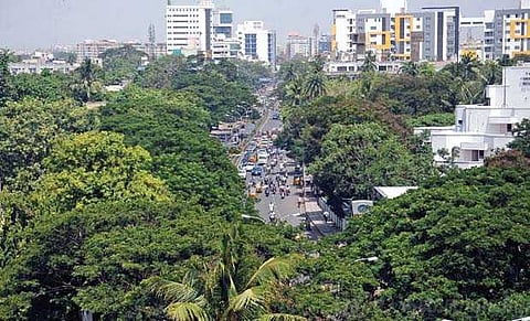 சென்னை வெயிலை சமாளிக்க 15 லட்சம் மரங்கள் தேவை!