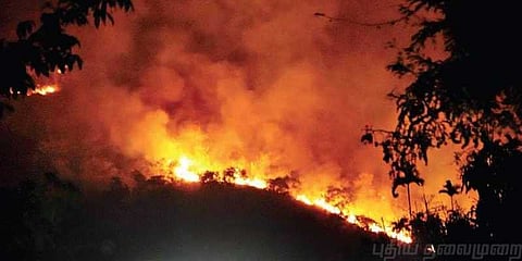 குரங்கணி காட்டுத்தீ:  விசாரணை அதிகாரி ஆய்வு