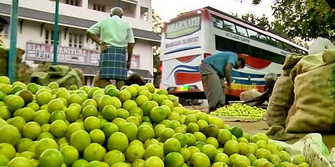 எலுமிச்சை விளைச்சல் இல்லாததால் விவசாயிகள் கவலை