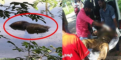 மறுபடி மறுபடி குளத்தில் மிதக்கும் சடலங்கள்:  போலீஸ் தீவிர விசாரணை