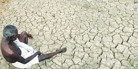 சம்பா சாகுபடிக்கு நீரில்லா‌ததால் விவசாயி தற்கொலை