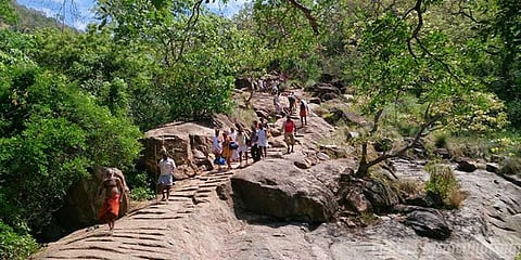 சதுரகிரிமலைப் பகுதிக்கு பக்தர்கள் செல்ல தடை!