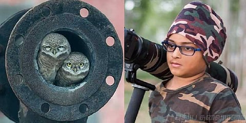 இந்திய பையனுக்கு ஆந்தையால் லண்டனில் அடித்த அதிர்ஷ்டம் 
