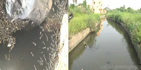“நீதிமன்ற தீர்ப்பை காஞ்சிபுர பெருநகராட்சி கண்டுகொள்ளவில்லை” - மக்கள் புகார்  