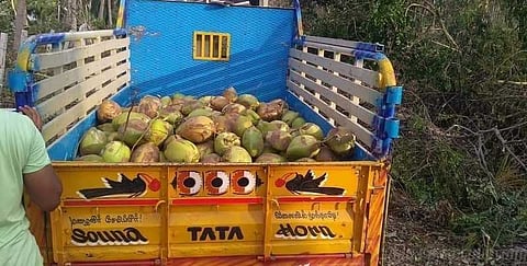 “நாங்கள் உணவு கொடுக்கிறவர்கள்” இக்கட்டான சூழ்நிலையிலும் நிரூபித்த டெல்டா விவசாயிகள்..!