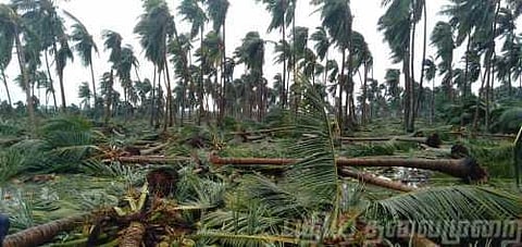 கஜா புயல் இழப்பீடு விவகாரம்.. மத்திய, மாநில அரசுகள் பதிலளிக்க உத்தரவு