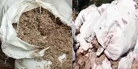 துண்டுத் துண்டாக வெட்டப்பட்ட நிலையில் ரூபாய் நோட்டுகள்: பொதுமக்கள் அதிர்ச்சி 