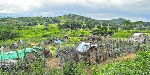 ஜாதி சான்றிதழ் வழங்க மறுப்பு : பழங்குடியின மக்கள் வேதனை