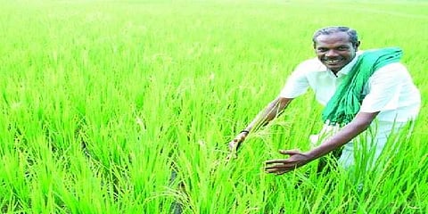 நெல் ஜெயராமனுக்கு சொந்த ஊரில் மக்கள் அஞ்சலி !