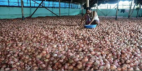 வெங்காய விலை வீழ்ச்சியால் இரு விவசாயிகள் தற்கொலை? 