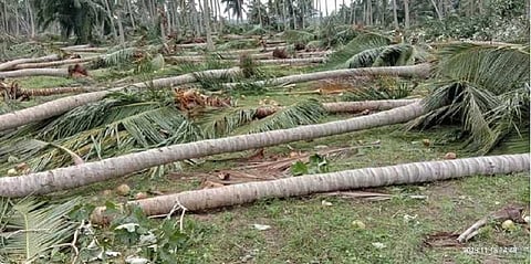 “கஜா புயல் நிவாரண நிதிக்கு 87 கோடி நன்கொடை”- தமிழக அரசு 