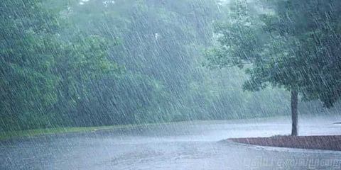 “அவ்வப்போது தரைக்காற்று அதிகமாக வீசக்கூடும்” - வானிலை மையம்
