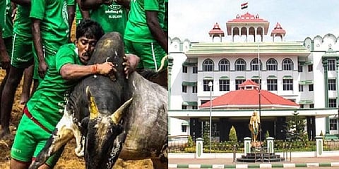 ஜல்லிக்கட்டில் ஜாதி, மதத்தைத் திணிப்பதா? - நீதிபதி கவலை