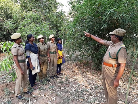 கம்பம் வனச்சரகத்தில் பணியில் சேர்ந்த 6 பெண் வனக்காவலர்கள் 