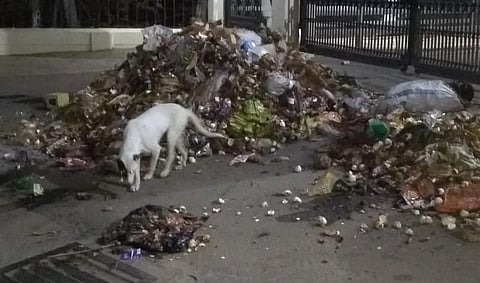 தனியார் பல்கலைக்கழக வாசலில் குப்பையை கொட்டி எதிர்ப்பு