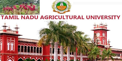 வேளாண் படிப்புகளில் சேர வாய்ப்பு!
