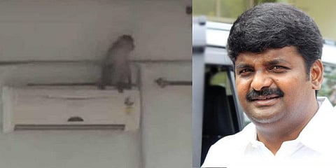 அமைச்சர் பங்கேற்ற கூட்டத்தில் புகுந்த குரங்கு : பயந்து அலறிய ஊழியர்கள் 