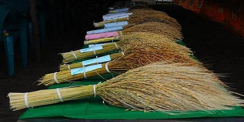 கோலாகலமாக தொடங்கியது திருத்துறைப்பூண்டி நெல் திருவிழா 