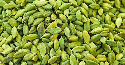 இதுவரை இல்லாத அளவுக்கு ரூ. 5 ஆயிரத்தை தொட்டது ஏலக்காய் விலை!