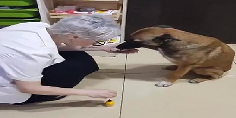 சிகிச்சை அளித்தவருக்கு நன்றி செலுத்திய நாய் - வைரல் வீடியோ 
