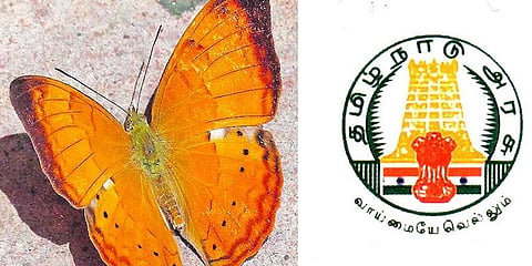 தமிழக அரசின் சின்னமான தமிழ்மறவன் பட்டாம்பூச்சி 