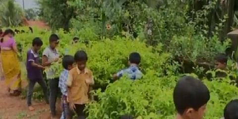 ஆசிரியர்களுக்கு சம்பளம் வழங்கும் ஒரு மல்லிகைத் தோட்டம்!