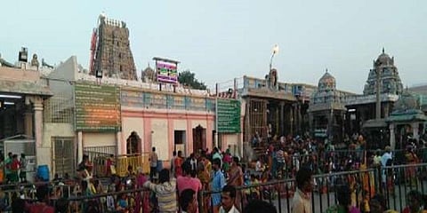 பழனி முருகன் சிலையை திருட சதித்திட்டம் தீட்டப்பட்டது உண்மைதான் - டிஎஸ்பி முகேஷ் ஜெயக்குமார் 
