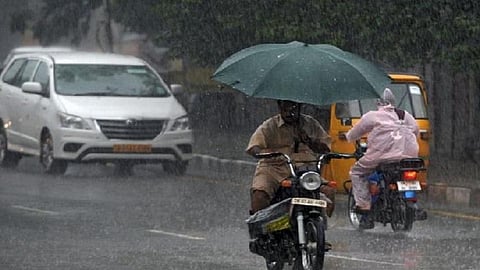 rain