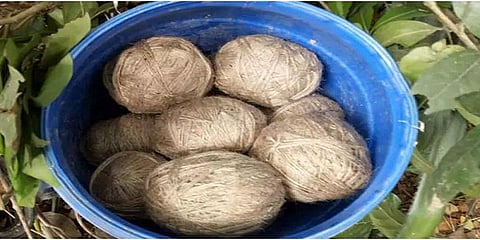 நாட்டு வெடிகுண்டு தயாரித்தவர் கைது 