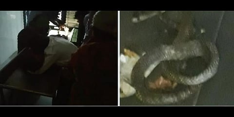 பள்ளி விடுதியில் பா‌ம்பு கடித்து மாணவி உயிரிழப்பு