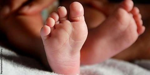 பிறந்து சில மணி நேரத்தில் முட்புதரில் வீசப்பட்ட பெண் குழந்தை - கலங்கவைக்கும் அவலம்