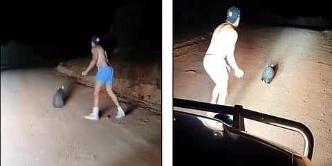 “விடாதே.. அடித்து கொல் நண்பா” - அரியவகை விலங்கை கொன்ற கொடூரன்