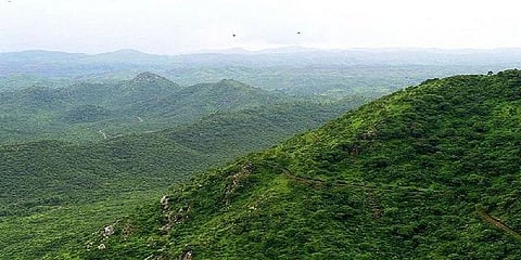 1400 கிலோ மீட்டர் தொலைவிற்கு ‘பசுமை பெருஞ்சுவர்’ - இந்தியா திட்டம்? 