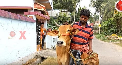 ‘எனது பசுக்களை வைத்து எவ்வளவு தங்கக் கடன் கொடுப்பீங்க?’ - ஷாக் கொடுத்த பால் வியாபாரி