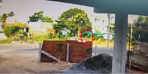 விபத்தில் மூளைச்சாவு அடைந்த பெண் - வெளியானது சிசிடிவி காட்சிகள் 