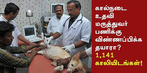 கால்நடை உதவி மருத்துவர் பணிக்கு விண்ணப்பிக்க தயாரா?
