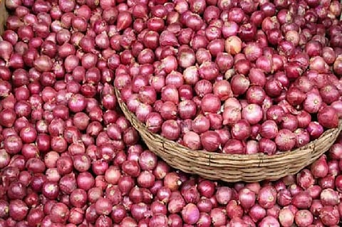 உச்சத்தில் விலை ! அப்படி என்ன "வெங்காயம்" ? அதன் வரலாறு என்ன ?