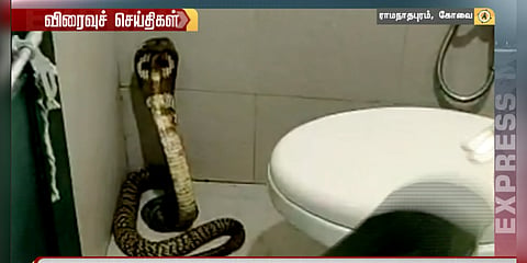 கழிவறைக்குள் புகுந்த நல்ல பாம்பு - அதிர்ச்சியில் ஓட்டம் பிடித்த மக்கள்