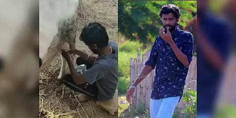 ஊரடங்கு நெருக்கடியைச் சமாளிக்கப் பசு மாட்டில் பால் கறந்த ‘மாஸ்டர்’ பட நடிகர் - வீடியோ