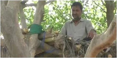சமூக இடைவெளிக்காக மரத்தில் வீடுகட்டி தங்கும் நபர் !