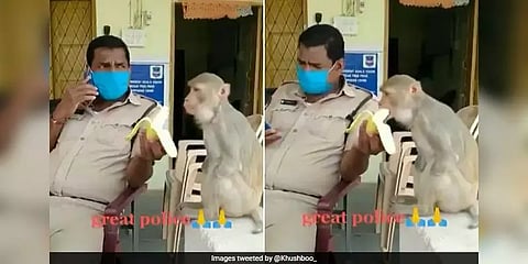 கையில்லாத குரங்கிற்கு அன்பாக வாழைப்பழம் ஊட்டிவிடும் காவலர் - வைரலான வீடியோ 
