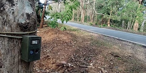 முதுமலை புலிகள் காப்பக சாலைகளில் தானியங்கி கேமராக்கள்..  காரணம் என்ன?