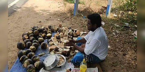 வருமானம் இல்லாமல் தவிக்கும் நுங்கு மற்றும் தர்பூசணி விவசாயிகள்..! 